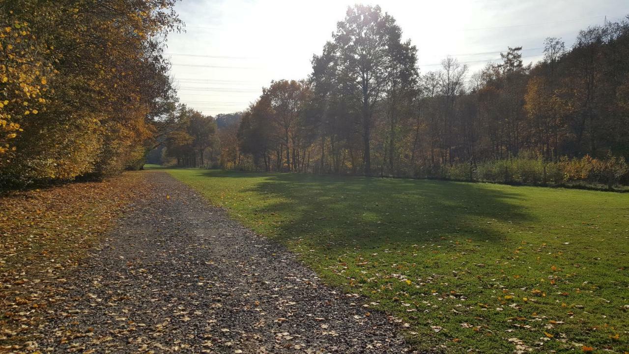 Ferienwohnung Bluetenstadt Leichlingen Buitenkant foto